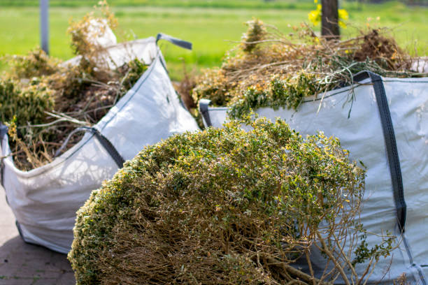 Best Junk Removal for Events  in Arvada, CO