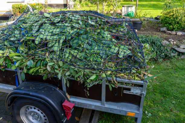 Best Shed Removal  in Arvada, CO